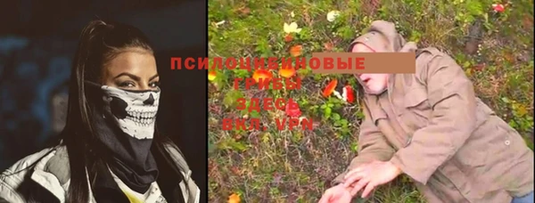 стафф Магадан