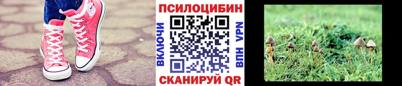 Псилоцибиновые грибы Cubensis  цена   MEGA онион  Ухта 